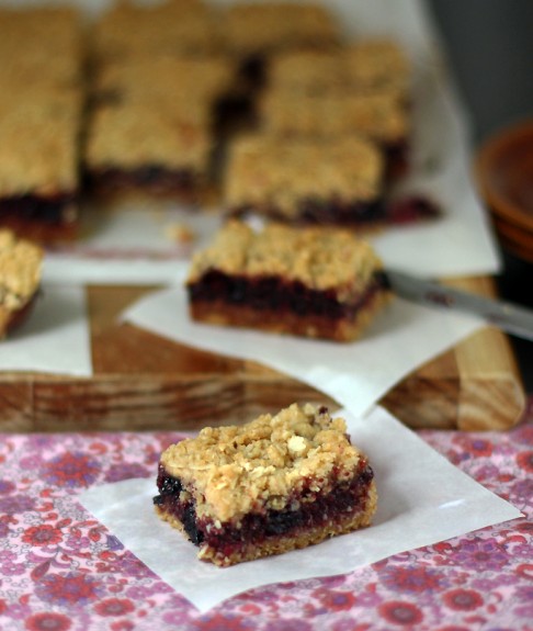 Berry crumble slice